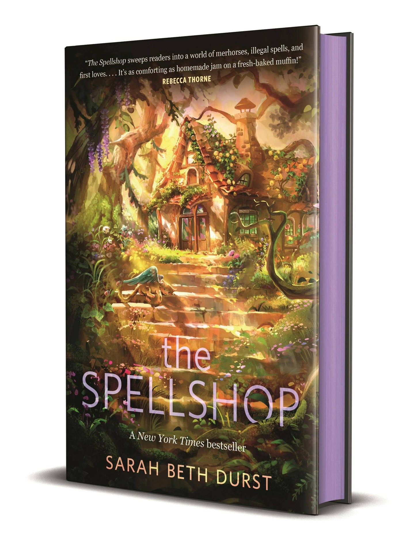 The Spellshop (Spellshop #1)