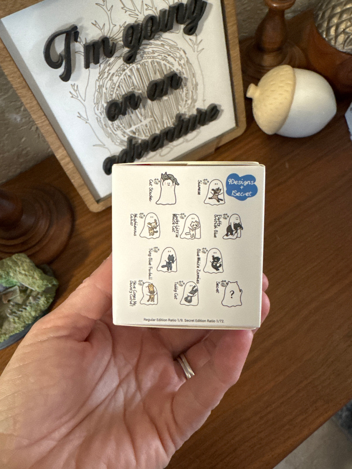 Behold My Cat Blind Box