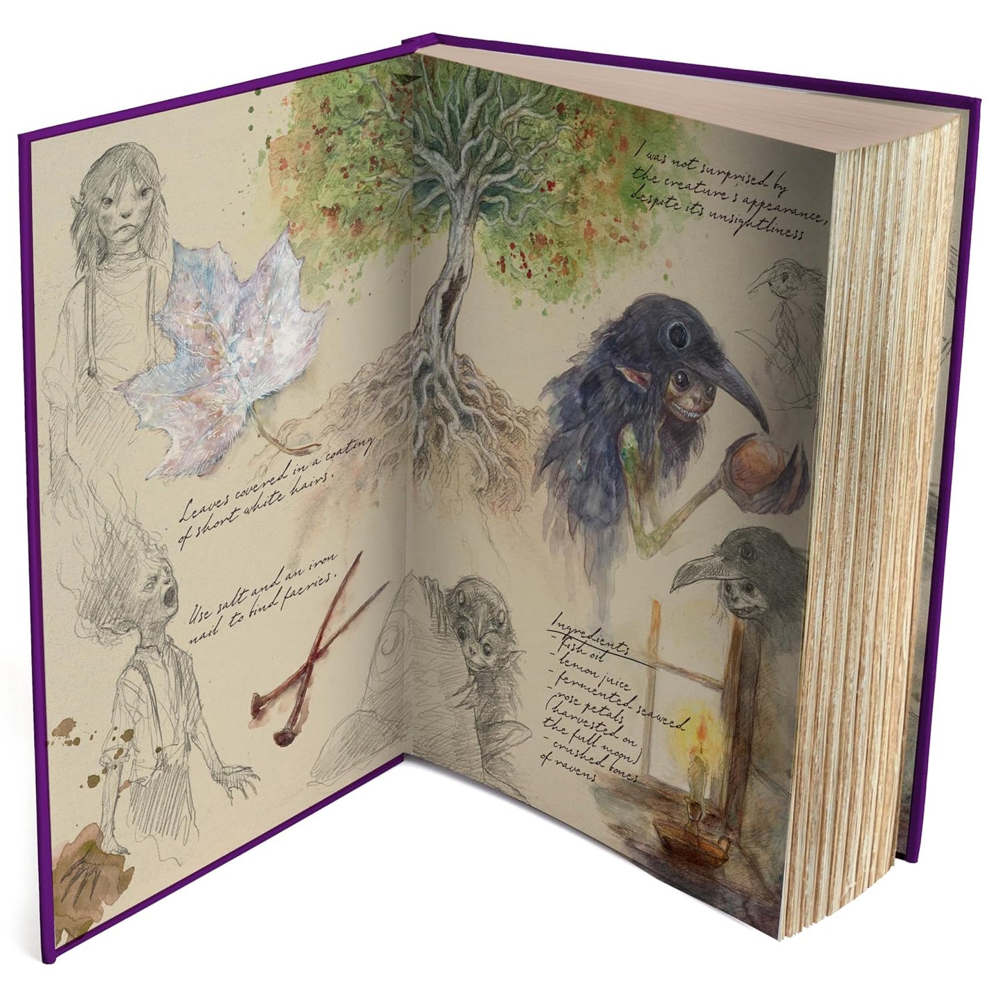 Pre-Order Emily Wilde's Encyclopaedia of Faeries (Deluxe Edition)