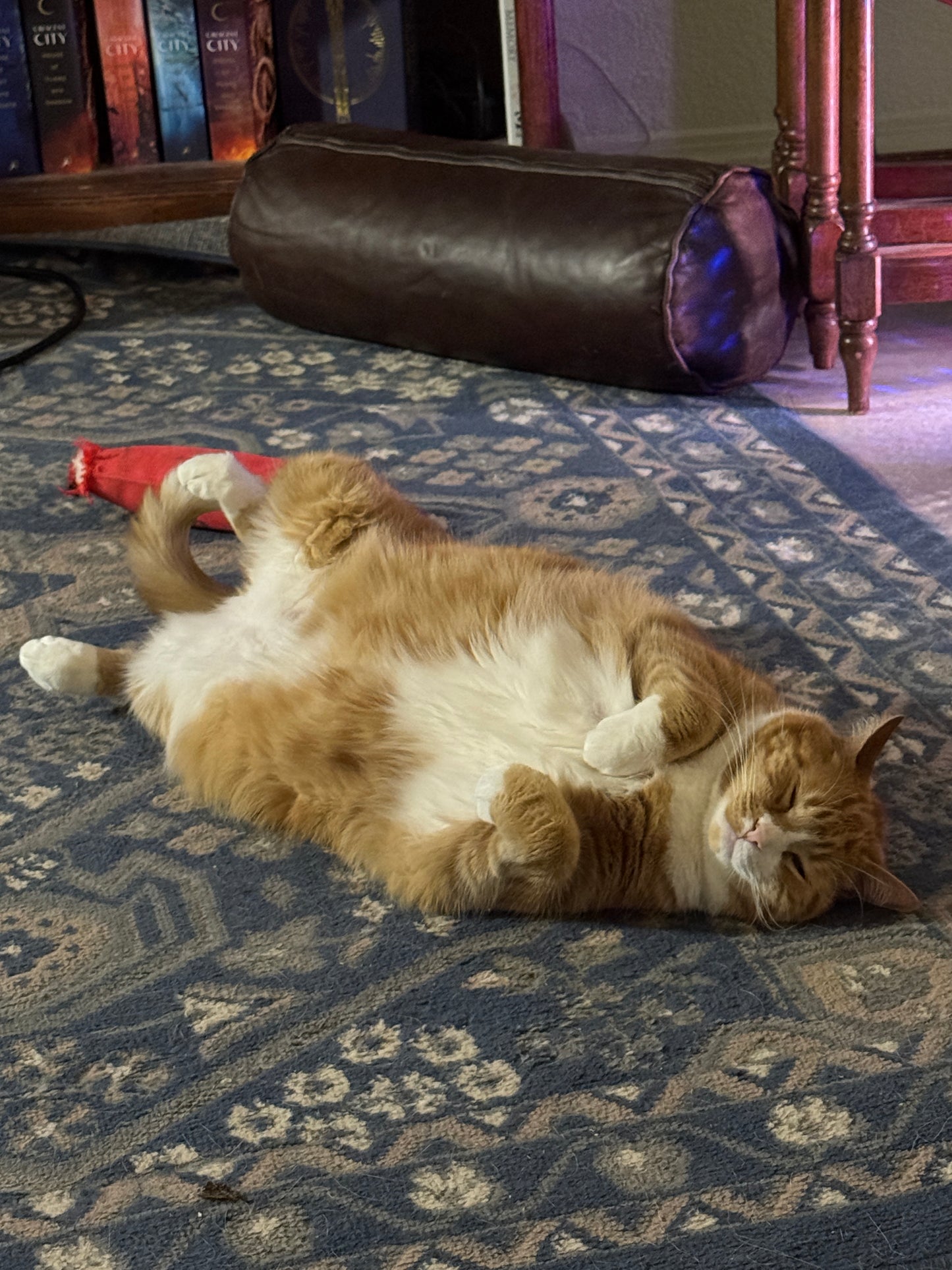 Sir BB, Lord of Snacks