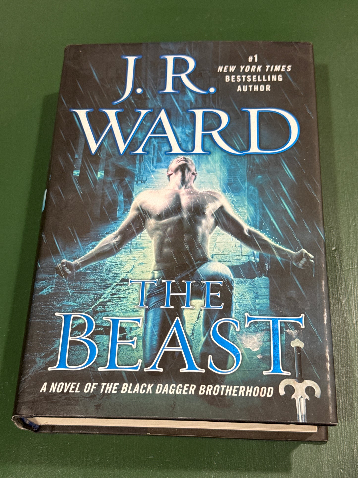 The Beast (BDB Book #15)